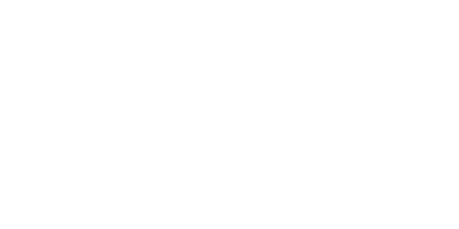 Flutter